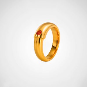 Anillo ANI2495